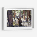 Estudiar Elk I - David Drost | Cuadro decorativo de Canvas Lab