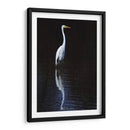 Egret Elegante Ii - David Drost | Cuadro decorativo de Canvas Lab