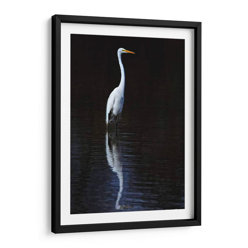 Egret Elegante Ii - David Drost | Cuadro decorativo de Canvas Lab