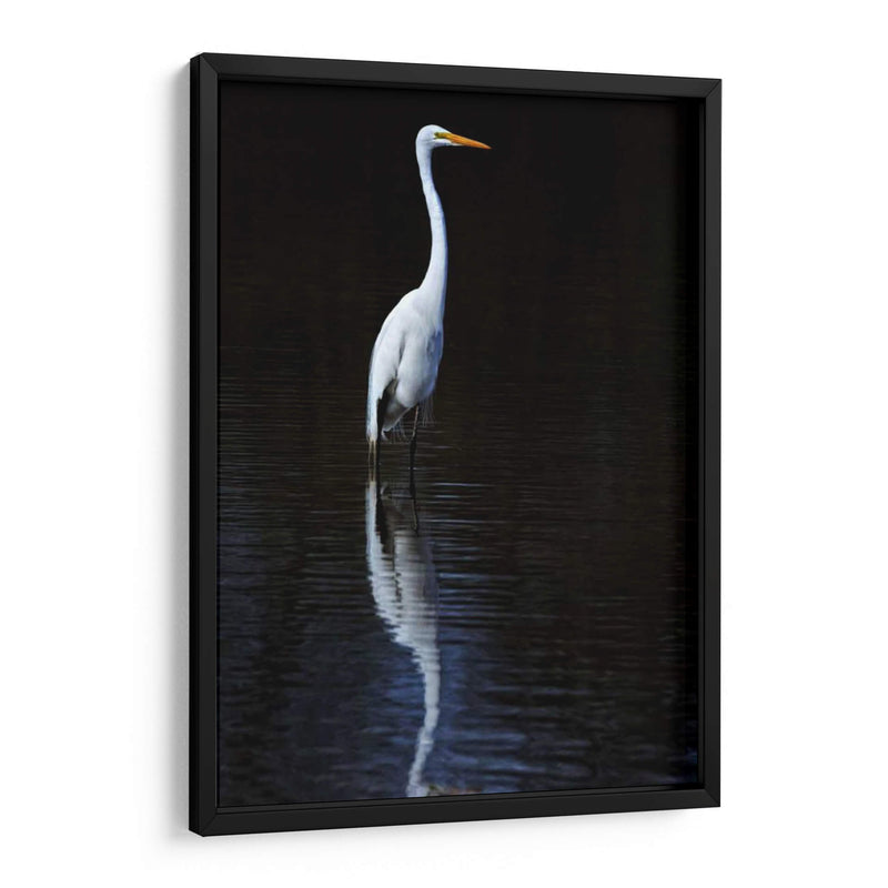 Egret Elegante Ii - David Drost | Cuadro decorativo de Canvas Lab