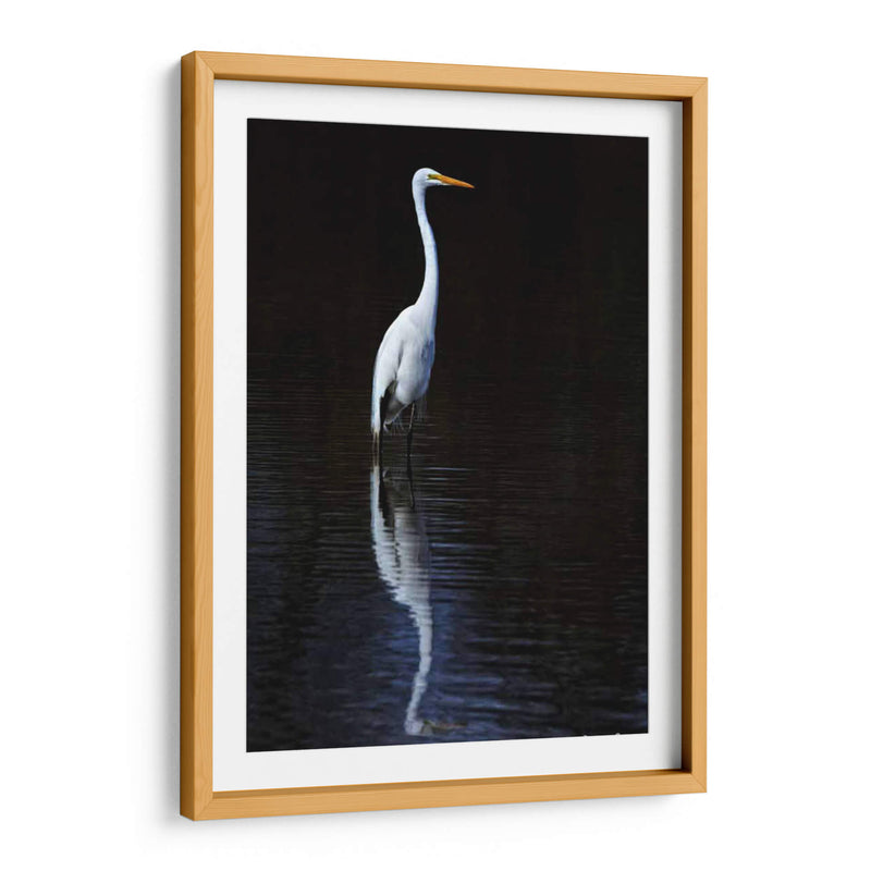 Egret Elegante Ii - David Drost | Cuadro decorativo de Canvas Lab