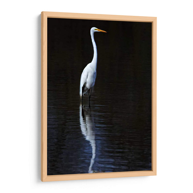 Egret Elegante Ii - David Drost | Cuadro decorativo de Canvas Lab