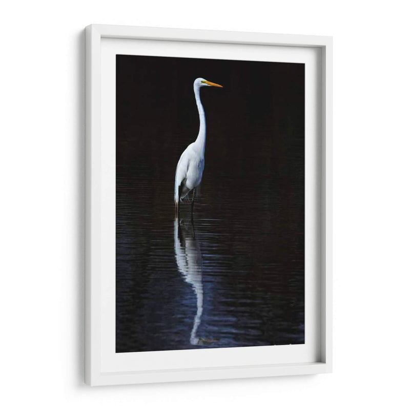 Egret Elegante Ii - David Drost | Cuadro decorativo de Canvas Lab