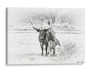Longhorn Y Bebe - David Drost | Cuadro decorativo de Canvas Lab