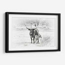 Longhorn Y Bebe - David Drost | Cuadro decorativo de Canvas Lab