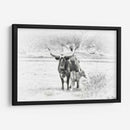 Longhorn Y Bebe - David Drost | Cuadro decorativo de Canvas Lab