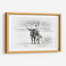 Longhorn Y Bebe - David Drost | Cuadro decorativo de Canvas Lab