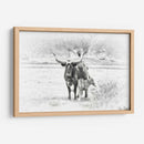 Longhorn Y Bebe - David Drost | Cuadro decorativo de Canvas Lab