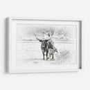 Longhorn Y Bebe - David Drost | Cuadro decorativo de Canvas Lab