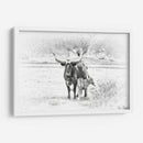 Longhorn Y Bebe - David Drost | Cuadro decorativo de Canvas Lab