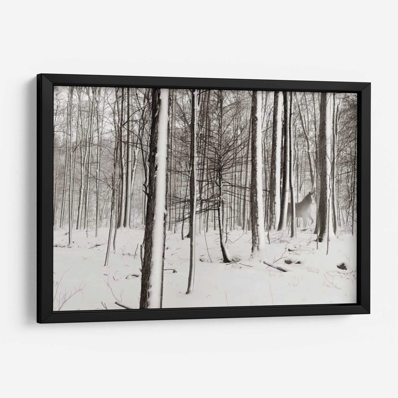 Un Paseo Nevado I - James McLoughlin | Cuadro decorativo de Canvas Lab