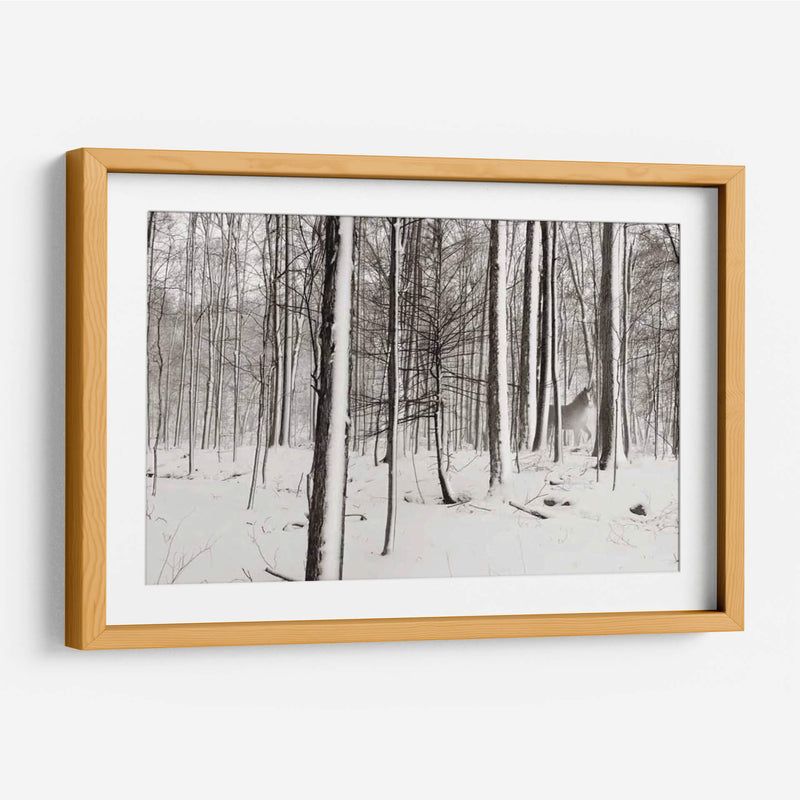 Un Paseo Nevado I - James McLoughlin | Cuadro decorativo de Canvas Lab