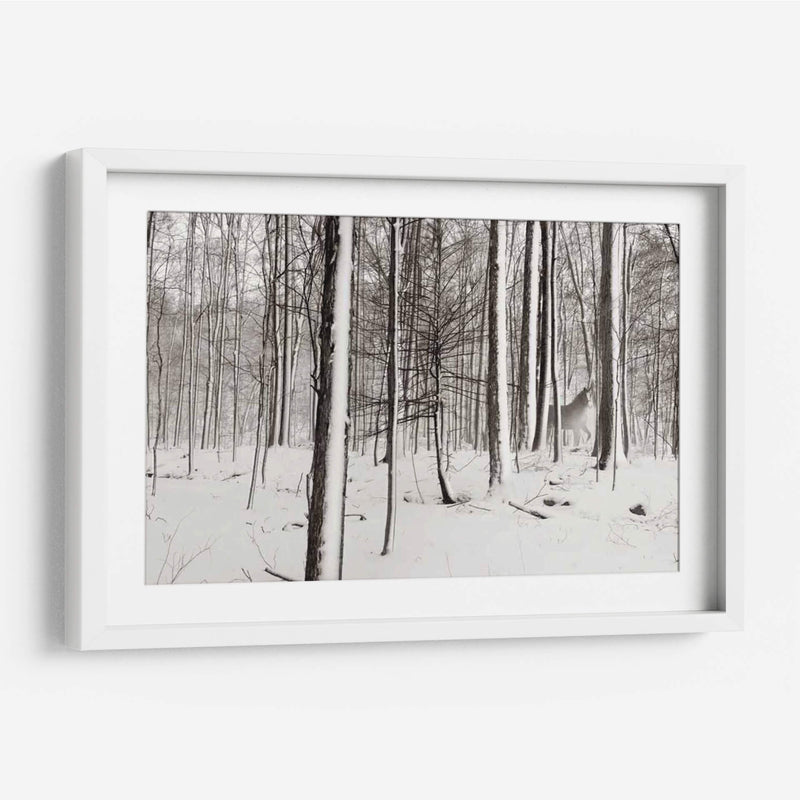 Un Paseo Nevado I - James McLoughlin | Cuadro decorativo de Canvas Lab