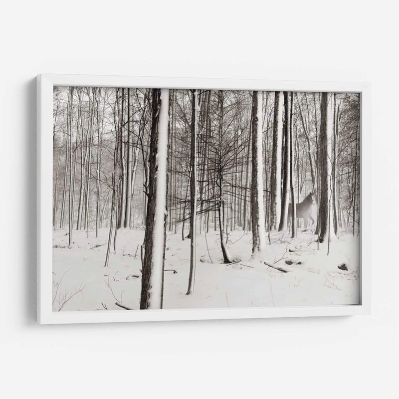 Un Paseo Nevado I - James McLoughlin | Cuadro decorativo de Canvas Lab