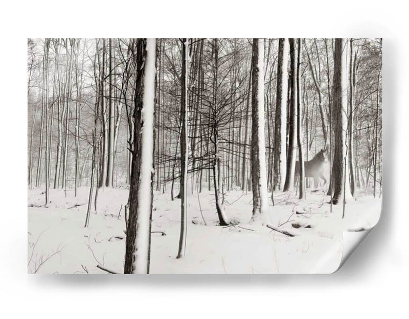 Un Paseo Nevado I - James McLoughlin | Cuadro decorativo de Canvas Lab