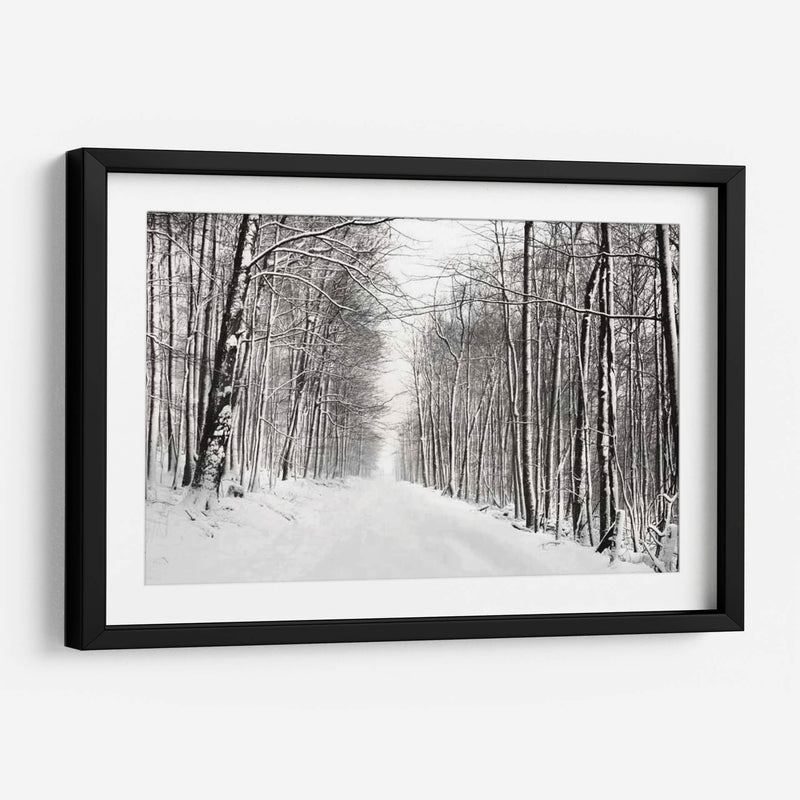 Un Paseo Nevado Iii - James McLoughlin | Cuadro decorativo de Canvas Lab