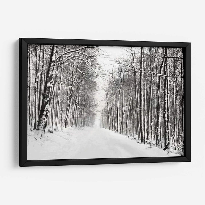 Un Paseo Nevado Iii - James McLoughlin | Cuadro decorativo de Canvas Lab