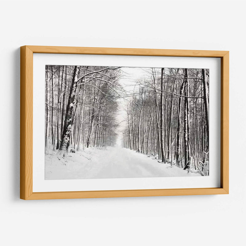 Un Paseo Nevado Iii - James McLoughlin | Cuadro decorativo de Canvas Lab