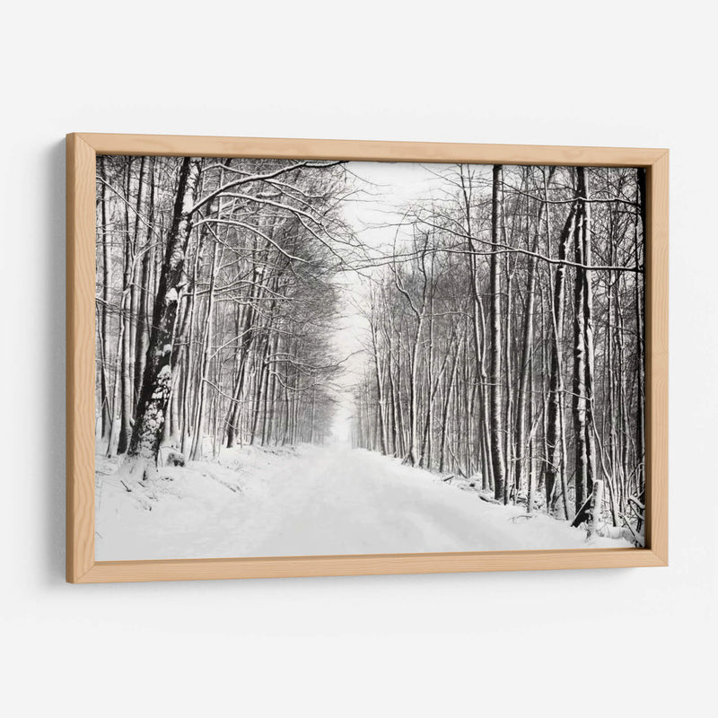 Un Paseo Nevado Iii - James McLoughlin | Cuadro decorativo de Canvas Lab