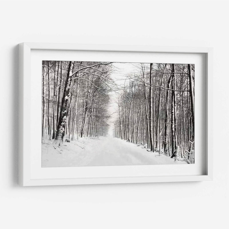 Un Paseo Nevado Iii - James McLoughlin | Cuadro decorativo de Canvas Lab