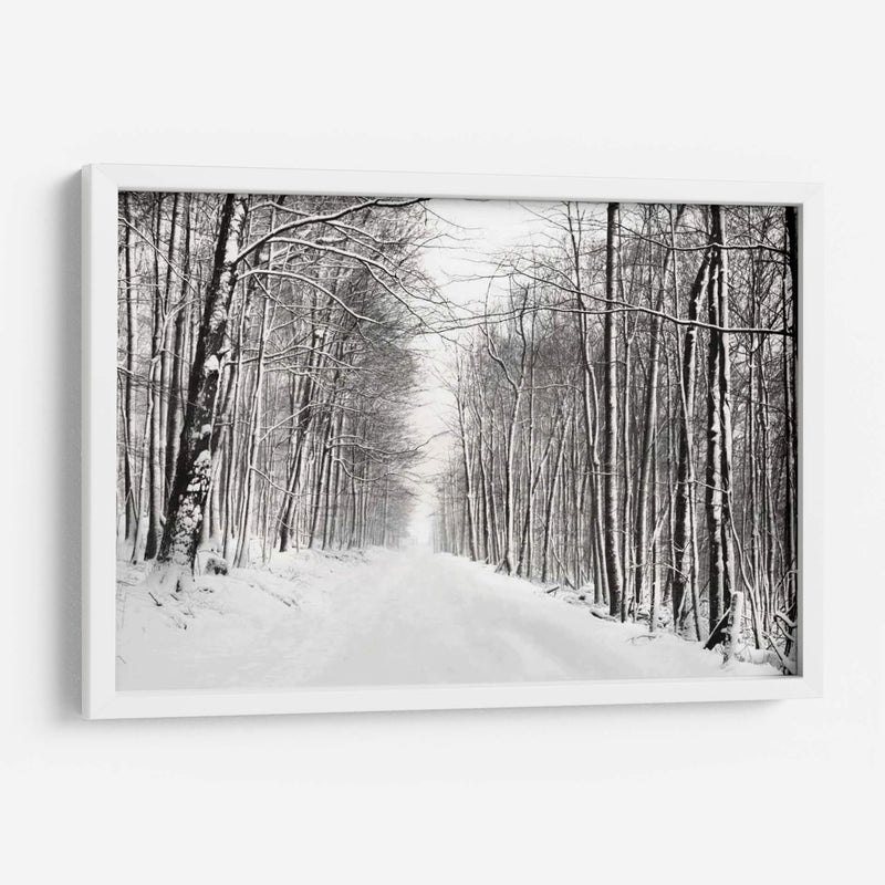 Un Paseo Nevado Iii - James McLoughlin | Cuadro decorativo de Canvas Lab