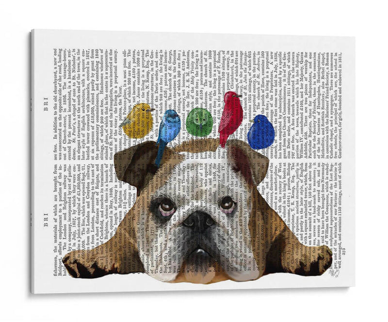 Bulldog Y Pájaros Ingleses - Fab Funky | Cuadro decorativo de Canvas Lab