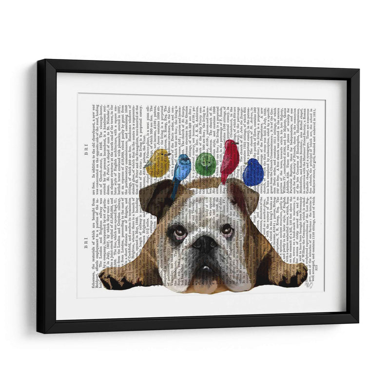 Bulldog Y Pájaros Ingleses - Fab Funky | Cuadro decorativo de Canvas Lab