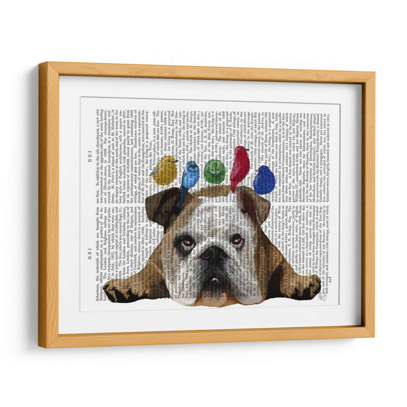 Bulldog Y Pájaros Ingleses - Fab Funky | Cuadro decorativo de Canvas Lab