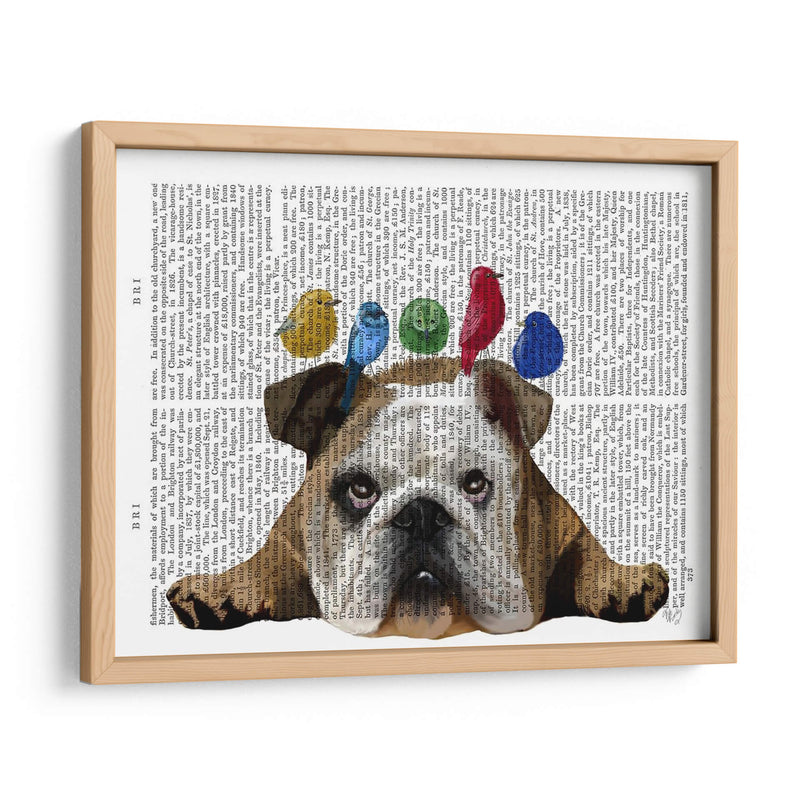 Bulldog Y Pájaros Ingleses - Fab Funky | Cuadro decorativo de Canvas Lab