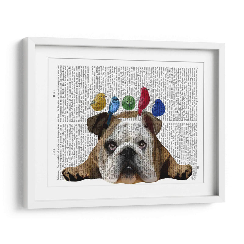 Bulldog Y Pájaros Ingleses - Fab Funky | Cuadro decorativo de Canvas Lab