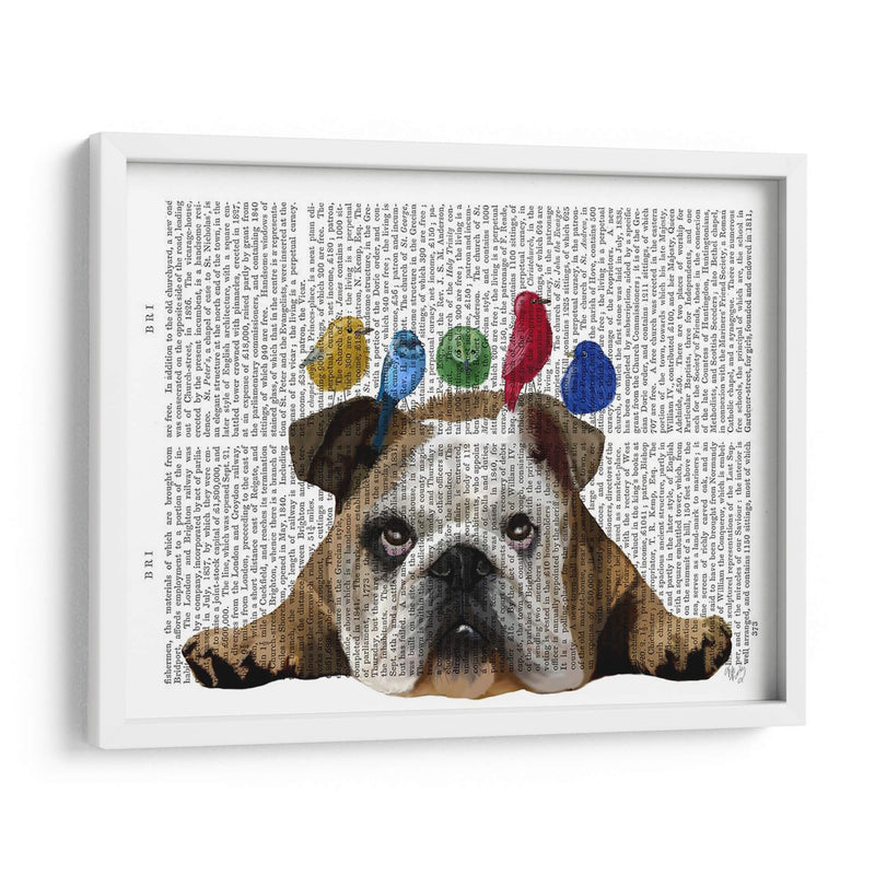 Bulldog Y Pájaros Ingleses - Fab Funky | Cuadro decorativo de Canvas Lab