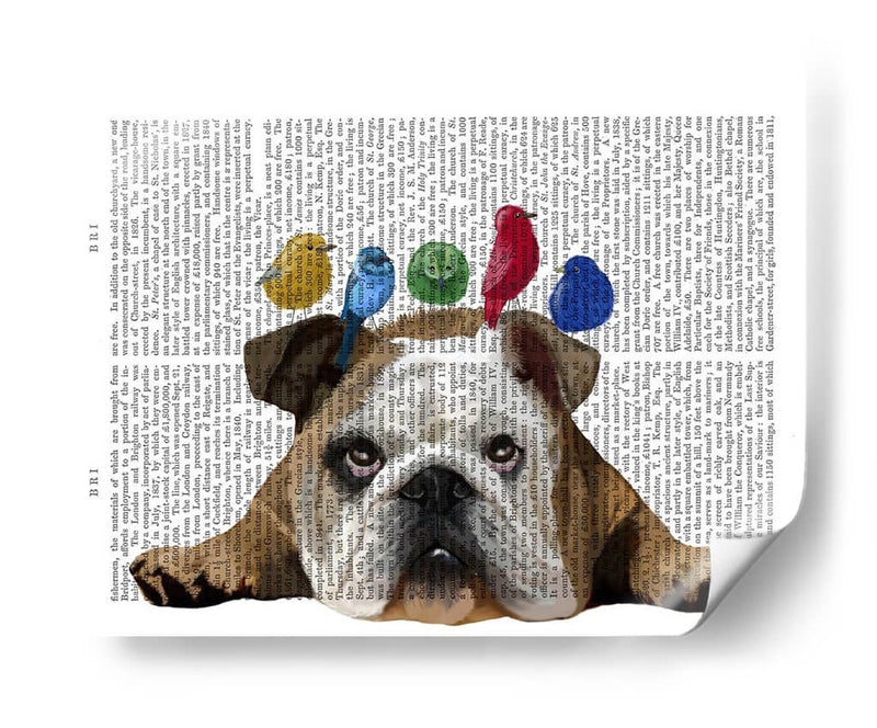 Bulldog Y Pájaros Ingleses - Fab Funky | Cuadro decorativo de Canvas Lab