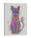 Cat Rainbow Splash 4 - Fab Funky | Cuadro decorativo de Canvas Lab