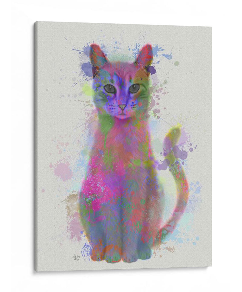 Cat Rainbow Splash 4 - Fab Funky | Cuadro decorativo de Canvas Lab