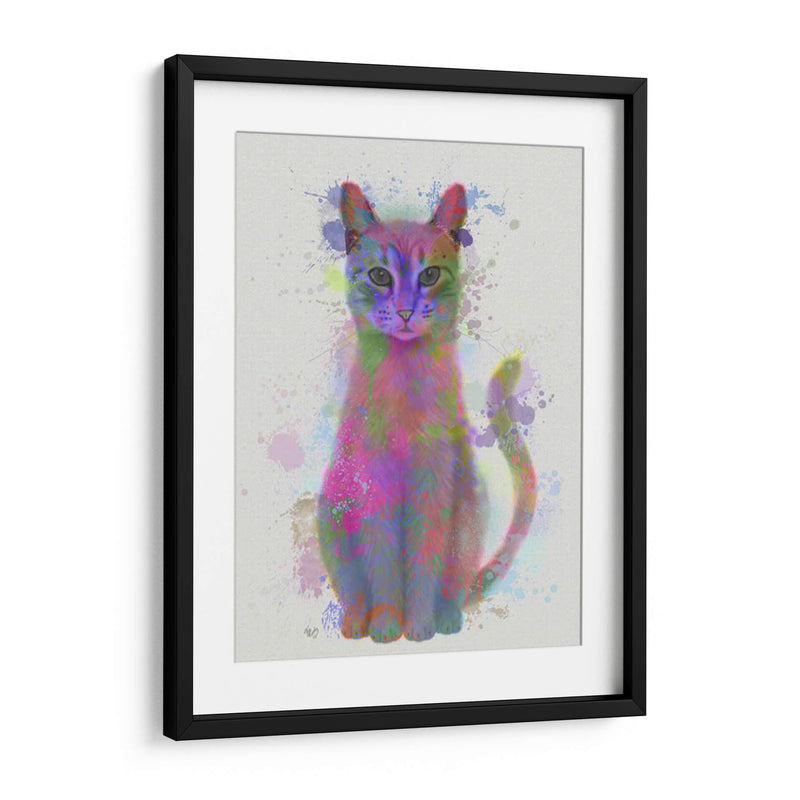 Cat Rainbow Splash 4 - Fab Funky | Cuadro decorativo de Canvas Lab