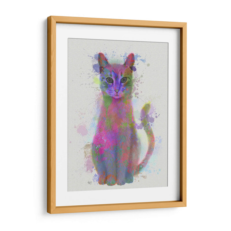 Cat Rainbow Splash 4 - Fab Funky | Cuadro decorativo de Canvas Lab