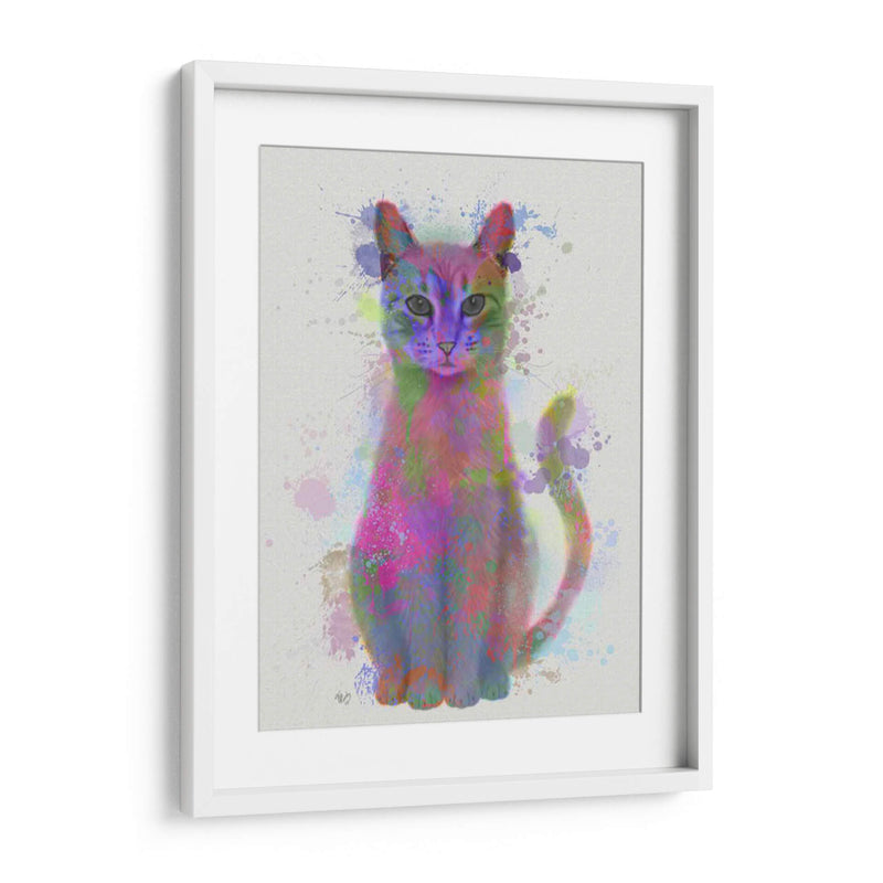 Cat Rainbow Splash 4 - Fab Funky | Cuadro decorativo de Canvas Lab