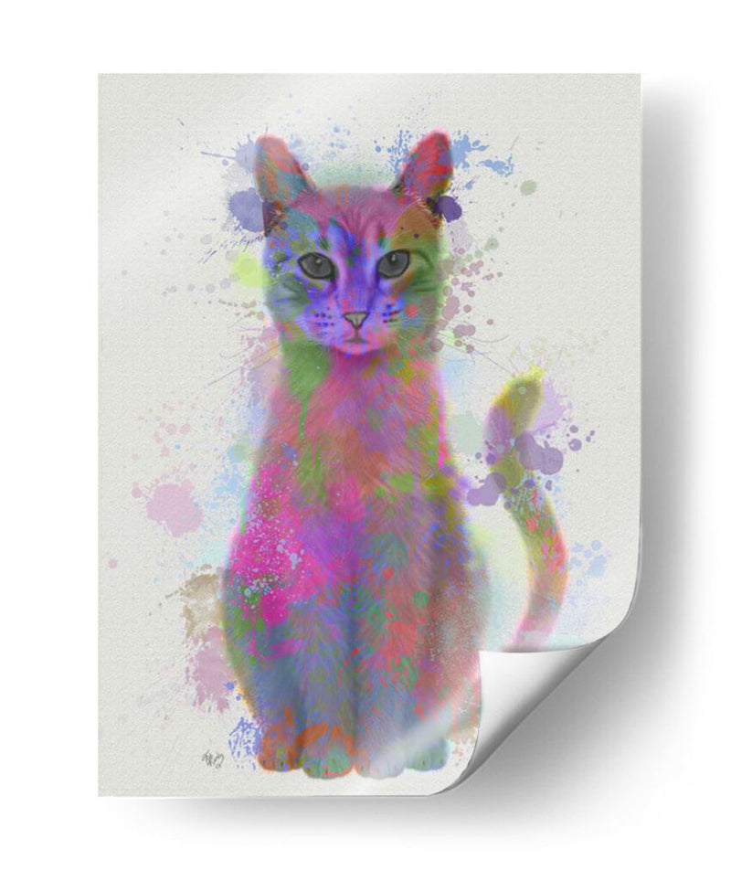 Cat Rainbow Splash 4 - Fab Funky | Cuadro decorativo de Canvas Lab