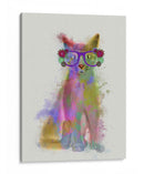 Cat Rainbow Splash 5 - Fab Funky | Cuadro decorativo de Canvas Lab
