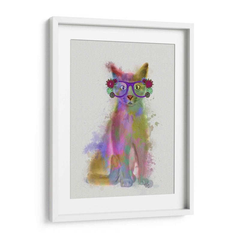 Cat Rainbow Splash 5 - Fab Funky | Cuadro decorativo de Canvas Lab