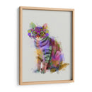 Cat Rainbow Splash 7 - Fab Funky | Cuadro decorativo de Canvas Lab
