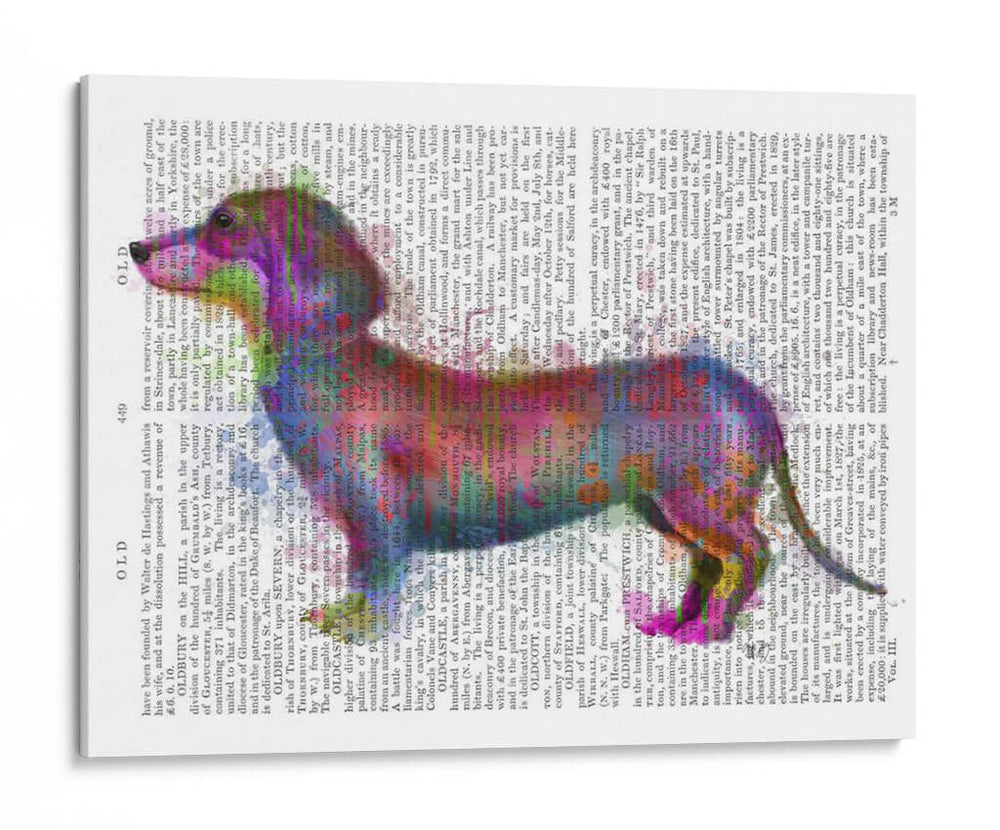 Dachshund Rainbow Splash 1 - Fab Funky | Cuadro decorativo de Canvas Lab