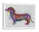 Dachshund Rainbow Splash 1 - Fab Funky | Cuadro decorativo de Canvas Lab