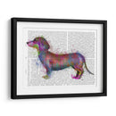 Dachshund Rainbow Splash 1 - Fab Funky | Cuadro decorativo de Canvas Lab