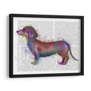 Dachshund Rainbow Splash 1 - Fab Funky | Cuadro decorativo de Canvas Lab
