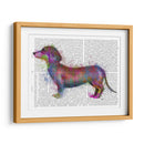 Dachshund Rainbow Splash 1 - Fab Funky | Cuadro decorativo de Canvas Lab