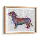 Dachshund Rainbow Splash 1 - Fab Funky | Cuadro decorativo de Canvas Lab