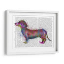 Dachshund Rainbow Splash 1 - Fab Funky | Cuadro decorativo de Canvas Lab
