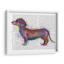 Dachshund Rainbow Splash 1 - Fab Funky | Cuadro decorativo de Canvas Lab