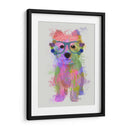 Salpicaduras De Arco Iris De West Highland Terrier - Fab Funky | Cuadro decorativo de Canvas Lab